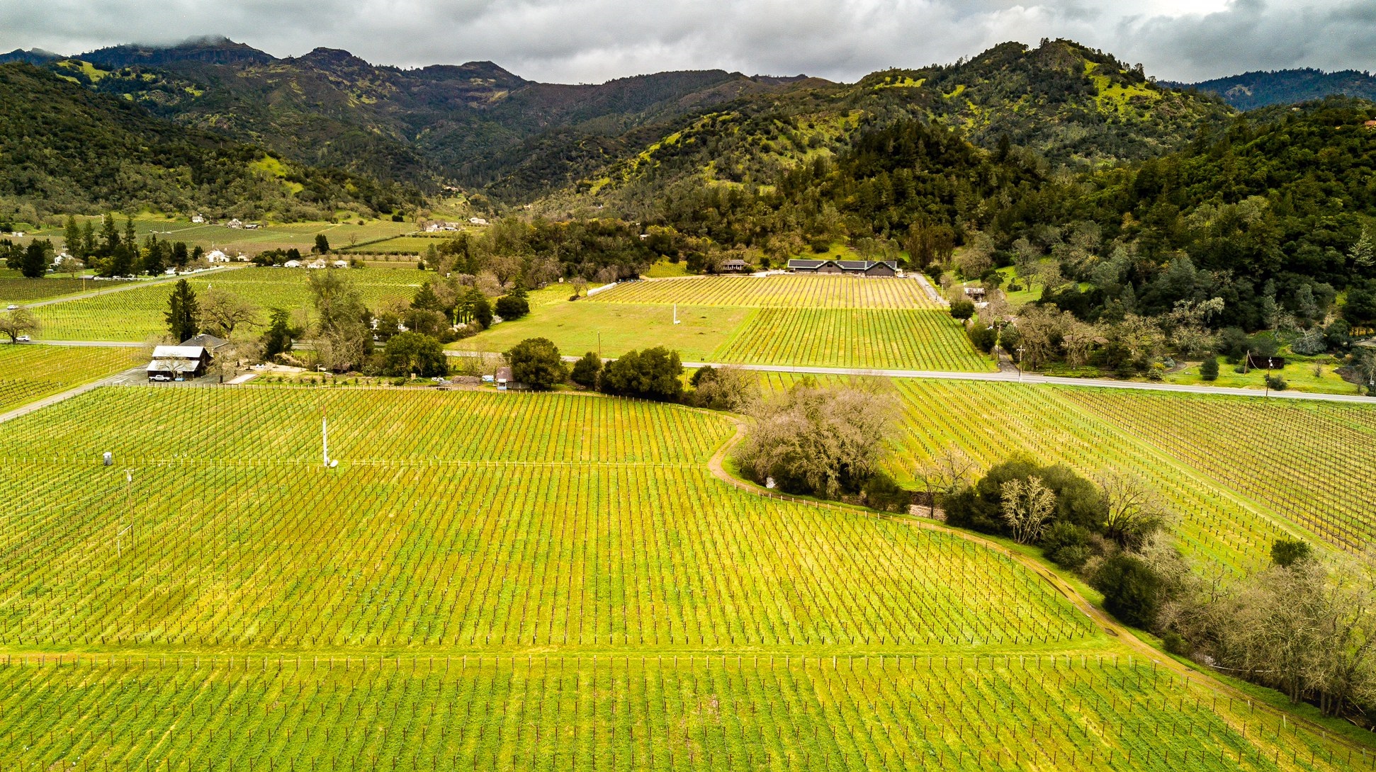 Fisher Vineyards - Russian River Valley